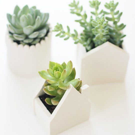 4066b43cb7af8ca519b96ff4f9567948