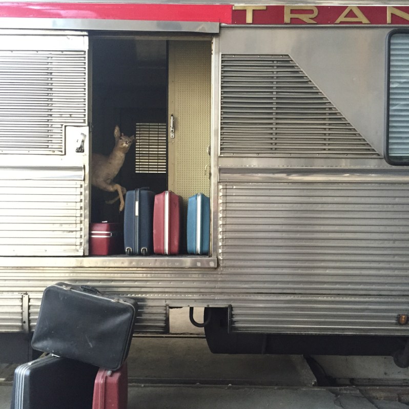 {Paris} La sortie à Grand Train!