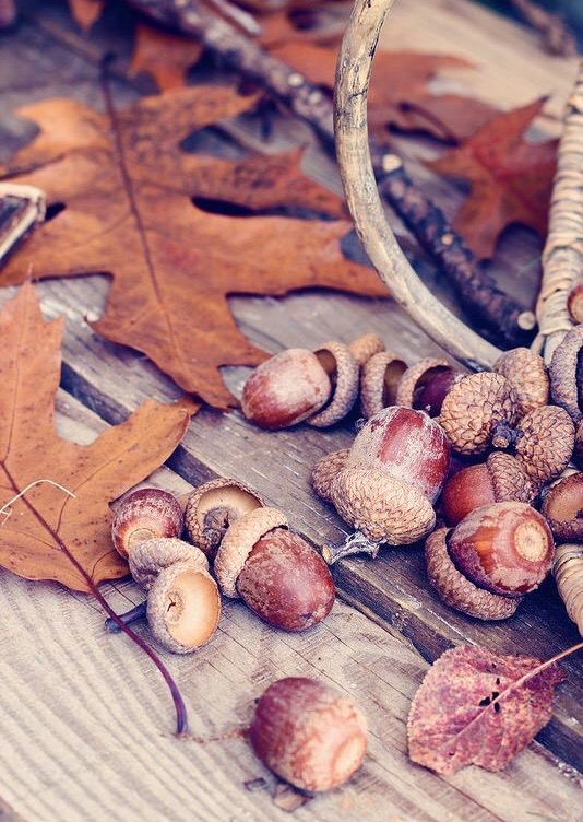 {10 Choses que j'aime} En Novembre ! Moma le blog