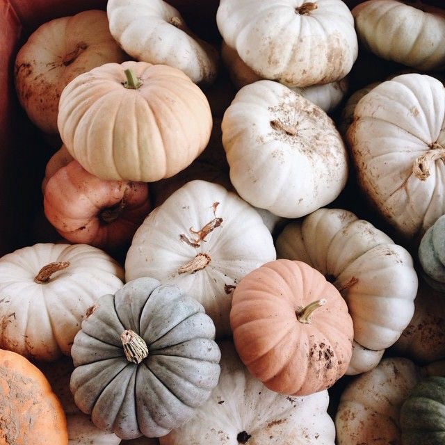 {10 Choses que j'aime} En Novembre ! Moma le blog