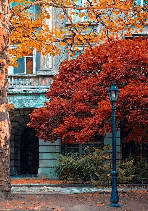 {10 Choses que j'aime} En Novembre ! 