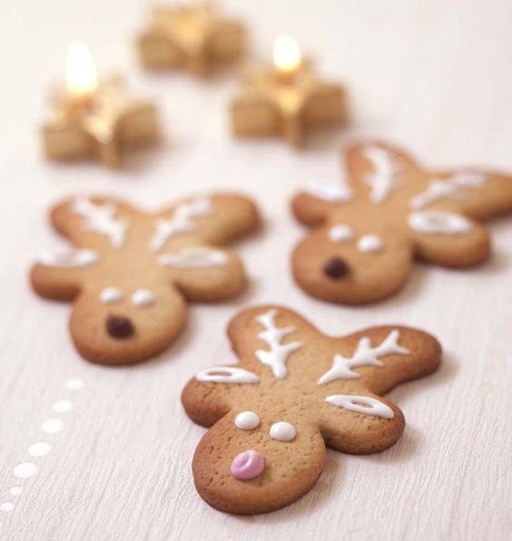 {Noël} 20 idées pour décorer vos sablés!