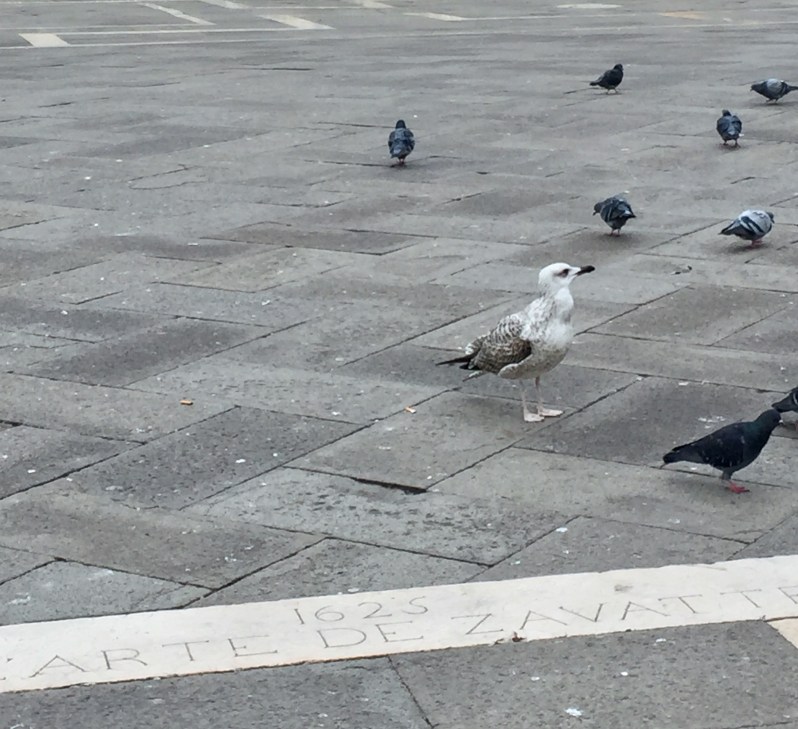 {Travel} 24h à Venise! Moma le blog